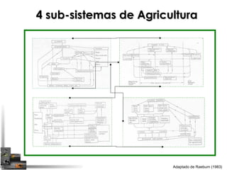 44 ssuubb--ssiisstteemmaass ddee AAggrriiccuullttuurraa 
Adaptado de Raeburn (1983) 
 