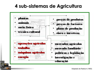 44 ssuubb--ssiisstteemmaass ddee AAggrriiccuullttuurraa 
• mmeerrccaaddooss aaggrrííccoollaass 
• mmeerrccaaddoo ffuunnddiiáárriioo 
• ppoollííttiiccaass ee lleeggiissllaaççããoo 
• iinnvveessttiiggaaççããoo ee 
eedduuccaaççããoo 
• ppllaannttaass 
• aanniimmaaiiss 
• mmeeiioo ffííssiiccoo 
• ttééccnniiccaa ccuullttuurraall 
• ooppeerraaççõõeess aaggrrííccoollaass 
• ttrraabbaallhhoo 
• mmááqquuiinnaass aaggrrííccoollaass 
• eenneerrggiiaa 
• pprreeççooss ddee pprroodduuttooss 
• pprreeççooss ddee ffaaccttoorreess 
• ppllaannoo ddee pprroodduuççããoo 
• rriissccoo ee iinncceerrtteezzaa 
Adaptado de Raeburn (1983) 
 