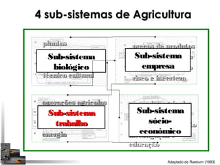 44 ssuubb--ssiisstteemmaass ddee AAggrriiccuullttuurraa 
• mmeerrccaaddooss aaggrrííccoollaass 
• mmeerrccaaddoo ffuunnddiiáárriioo 
• ppoollííttiiccaass ee lleeggiissllaaççããoo 
• iinnvveessttiiggaaççããoo ee 
eedduuccaaççããoo 
• ppllaannttaass 
• aanniimmaaiiss 
• mmeeiioo ffííssiiccoo 
• ttééccnniiccaa ccuullttuurraall 
• ooppeerraaççõõeess aaggrrííccoollaass 
• ttrraabbaallhhoo 
• mmááqquuiinnaass aaggrrííccoollaass 
• eenneerrggiiaa 
• pprreeççooss ddee pprroodduuttooss 
• pprreeççooss ddee ffaaccttoorreess 
• ppllaannoo ddee pprroodduuççããoo 
• rriissccoo ee iinncceerrtteezzaa 
SSuubb--ssiisstteemmaa 
bbiioollóóggiiccoo 
SSuubb--ssiisstteemmaa 
eemmpprreessaa 
SSuubb--ssiisstteemmaa 
ssóócciioo-- 
eeccoonnóómmiiccoo 
Adaptado de Raeburn (1983) 
SSuubb--ssiisstteemmaa 
ttrraabbaallhhoo 
 