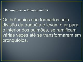 • Os brônquios são formados pela
divisão da traquéia e levam o ar para
o interior dos pulmões, se ramificam
várias vezes até se transformarem em
bronquíolos.
 