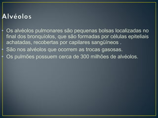 • Os alvéolos pulmonares são pequenas bolsas localizadas no
final dos bronquíolos, que são formadas por células epiteliais
achatadas, recobertas por capilares sangüíneos .
• São nos alvéolos que ocorrem as trocas gasosas.
• Os pulmões possuem cerca de 300 milhões de alvéolos.
 