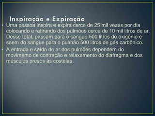 • Uma pessoa inspira e expira cerca de 25 mil vezes por dia
colocando e retirando dos pulmões cerca de 10 mil litros de ar.
Desse total, passam para o sangue 500 litros de oxigênio e
saem do sangue para o pulmão 500 litros de gás carbônico.
• A entrada e saída de ar dos pulmões dependem do
movimento de contração e relaxamento do diafragma e dos
músculos presos às costelas.
 