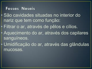 • São cavidades situadas no interior do
nariz que tem como função:
• Filtrar o ar, através de pêlos e cílios.
• Aquecimento do ar, através dos capilares
sanguíneos.
• Umidificação do ar, através das glândulas
mucosas.
 
