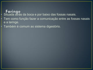 • Situada atrás da boca e por baixo das fossas nasais.
• Tem como função fazer a comunicação entre as fossas nasais
e a laringe.
• Também é comum ao sistema digestório.
 