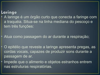 • A laringe é um órgão curto que conecta a faringe com
a traquéia. Situa-se na linha mediana do pescoço e
tem três funções:
• Atua como passagem do ar durante a respiração;
• O epitélio que reveste a laringe apresenta pregas, as
cordas vocais, capazes de produzir sons durante a
passagem de ar.
• Impede que o alimento e objetos estranhos entrem
nas estruturas respiratórias.
 