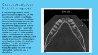 Caracteristicas
Hispatológicas
• Histopatologicamente, o cisto
periodontal lateral apresenta um fino
revestimento epitelial estratificado,
contendo poucas camadas de células
semelhantes às observadas no epitélio
reduzido do órgão do esmalte. Esse
revestimento pode exibir um número
variado de células claras na camada
basal e áreas focais de espessamento
nodular, nas quais as células epiteliais
cúbicas se distribuem em aspecto de
redemoinho. Essas características podem
resultar em um quadro histopatológico
semelhante ao do cisto odontogênico
glandular. Contudo, geralmente, a
correlação entre os achados
histopatológicos e o quadro clínico-
radiográfico é suficiente para o
diagnóstico.
 