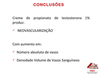 CONCLUSÕES Creme de propionato de testosterona 1% produz: NEOVASCULARIZAÇÃO Com aumento em: Número absoluto de vasos Densidade Volume de Vasos Sanguíneos 