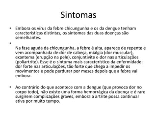 Sintomas
• Embora os vírus da febre chicungunha e os da dengue tenham
características distintas, os sintomas das duas doenças são
semelhantes.
•
Na fase aguda da chicungunha, a febre é alta, aparece de repente e
vem acompanhada de dor de cabeça, mialgia (dor muscular),
exantema (erupção na pele), conjuntivite e dor nas articulações
(poliartrite). Esse é o sintoma mais característico da enfermidade:
dor forte nas articulações, tão forte que chega a impedir os
movimentos e pode perdurar por meses depois que a febre vai
embora.
• Ao contrário do que acontece com a dengue (que provoca dor no
corpo todo), não existe uma forma hemorrágica da doença e é raro
surgirem complicações graves, embora a artrite possa continuar
ativa por muito tempo.
 