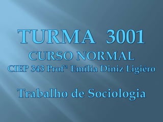 TURMA  3001 CURSO NORMAL CIEP 343 Profª Emília Diniz Ligiéro Trabalho de Sociologia 