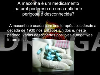 A maconha é um medicamento
natural poderoso ou uma entidade
perigosa e desconhecida?
A maconha é usada com fins terapêuticos desde a
década de 1930 nos Estados Unidos e, neste
período, várias descobertas positivas e negativas
foram feitas.
 
