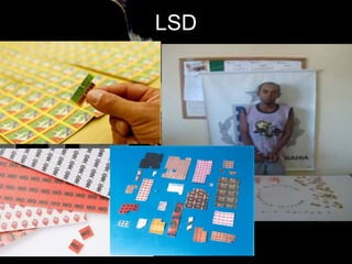 LSD
 