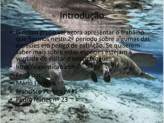 IntroduçãoO nosso grupo vai agora apresentar o trabalho que fizemos neste 2º período sobre algumas das espécies em perigo de extinção. Se quiserem saber mais sobre estas espécies estejam à vontade de visitar o nosso blogue:http//viasesticao.com/Feito por:Mário Ferreira nºFrancisco Pereira nº11Pedro Nunes nº 23