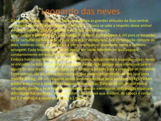 Leopardo das nevesO Leopardo – das - neves é um felino que habita as grandes altitudes da Ásia central, principalmente o Tibete, o Nepal, o Himalaias... Pouco se sabe a respeito desse animal arredio e solitário, que raramente é visto por seres humanos.pêlos longos e sedosos, com uma lanugem na base. Essa pelagem é útil para se esconder ou se camuflar na neve e caçar suas presas por emboscada. Sua alimentação consiste de aves, roedores como a marmota e a lebre, e pequenos mamíferos como o carneiro-selvagem. Cada leopardo das neves possui um vasto território no qual vagueia constantemente em busca de alimento.Embora habite regiões remotas e de difícil acesso, actualmente o leopardo – das - neves se encontra na lista de espécies ameaçadas de extinção porque seus ossos, sua pele e alguns de seus órgãos são utilizadas pela medicina asiática para a produção de remédios.Estes animais são caçadores oportunistas, que podem pesar desde um Yak (que pesa mais de 200 kg) até um pequeno veado almiscarado (que pesa somente 10 kg). Podem predar aves como o faisão ou as pequenas marmotas. Trata-se de um animal pouco estudado, devido a seus hábitos reservados, poucos exemplares, distribuição esparsa e dificuldade das condições de seu habitat. São animais que medem, de cabeça e corpo até 1,3 metros e a cauda que chega a 1 metros.