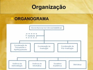 Organização
   ORGANOGRAMA
 