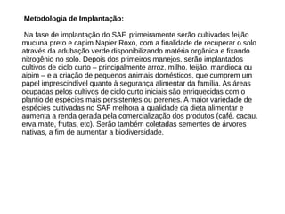 Metodologia de Implantação:
Na fase de implantação do SAF, primeiramente serão cultivados feijão
mucuna preto e capim Napier Roxo, com a finalidade de recuperar o solo
através da adubação verde disponibilizando matéria orgânica e fixando
nitrogênio no solo. Depois dos primeiros manejos, serão implantados
cultivos de ciclo curto – principalmente arroz, milho, feijão, mandioca ou
aipim – e a criação de pequenos animais domésticos, que cumprem um
papel imprescindível quanto à segurança alimentar da família. As áreas
ocupadas pelos cultivos de ciclo curto iniciais são enriquecidas com o
plantio de espécies mais persistentes ou perenes. A maior variedade de
espécies cultivadas no SAF melhora a qualidade da dieta alimentar e
aumenta a renda gerada pela comercialização dos produtos (café, cacau,
erva mate, frutas, etc). Serão também coletadas sementes de árvores
nativas, a fim de aumentar a biodiversidade.
 