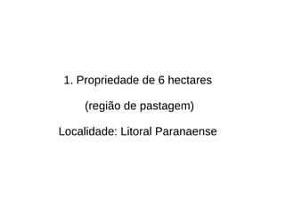 1. Propriedade de 6 hectares
(região de pastagem)
Localidade: Litoral Paranaense
 