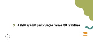 3. A falsa grande participação para o PIB brasileiro
 