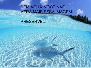 SEM ÁGUA VOCÊ NÃO
VERÁ MAIS ESSA IMAGEM.
PRESERVE...
 