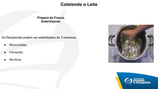 Coletando o Leite
Prepara do Frasco
Esterilizando
Os Recipientes podem ser esterilizados de 3 maneiras:
● Micro-ondas,
● Fervendo;
● No forno
 