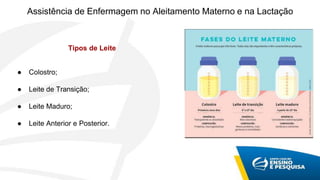 Tipos de Leite
● Colostro;
● Leite de Transição;
● Leite Maduro;
● Leite Anterior e Posterior.
Assistência de Enfermagem no Aleitamento Materno e na Lactação
 