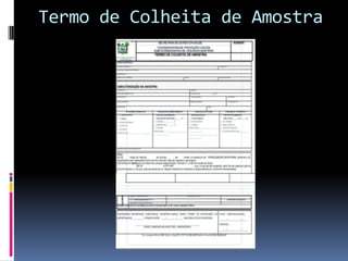 Termo de Colheita de Amostra
 