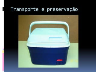 Transporte e preservação
 