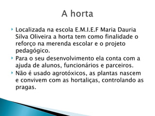    Localizada na escola E.M.I.E.F Maria Dauria
    Silva Oliveira a horta tem como finalidade o
    reforço na merenda escolar e o projeto
    pedagógico.
   Para o seu desenvolvimento ela conta com a
    ajuda de alunos, funcionários e parceiros.
   Não é usado agrotóxicos, as plantas nascem
    e convivem com as hortaliças, controlando as
    pragas.
 