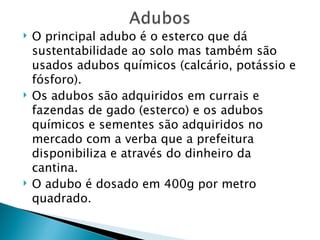    O principal adubo é o esterco que dá
    sustentabilidade ao solo mas também são
    usados adubos químicos (calcário, potássio e
    fósforo).
   Os adubos são adquiridos em currais e
    fazendas de gado (esterco) e os adubos
    químicos e sementes são adquiridos no
    mercado com a verba que a prefeitura
    disponibiliza e através do dinheiro da
    cantina.
   O adubo é dosado em 400g por metro
    quadrado.
 