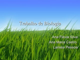 Trabalho de Biologia Ana Flávia Silva Ana Maria Castro  Larissa Pessoa 