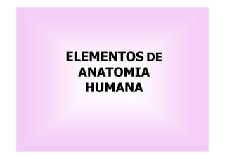 ELEMENTOS DE
  ANATOMIA
   HUMANA
 