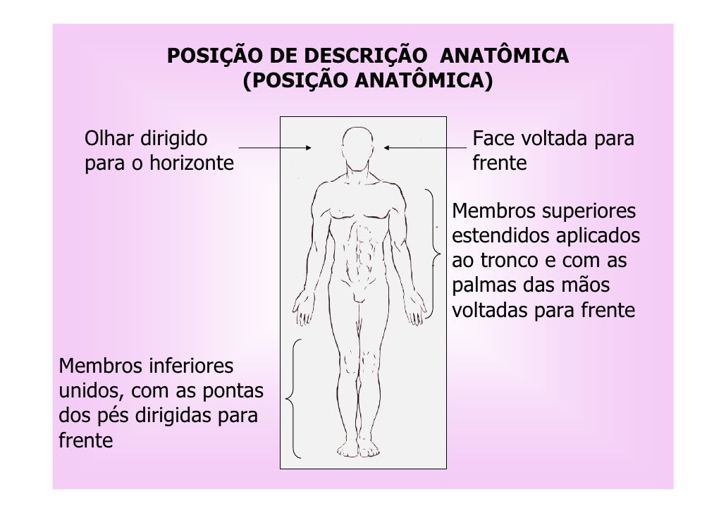 Posicao Anatomica Rotulada