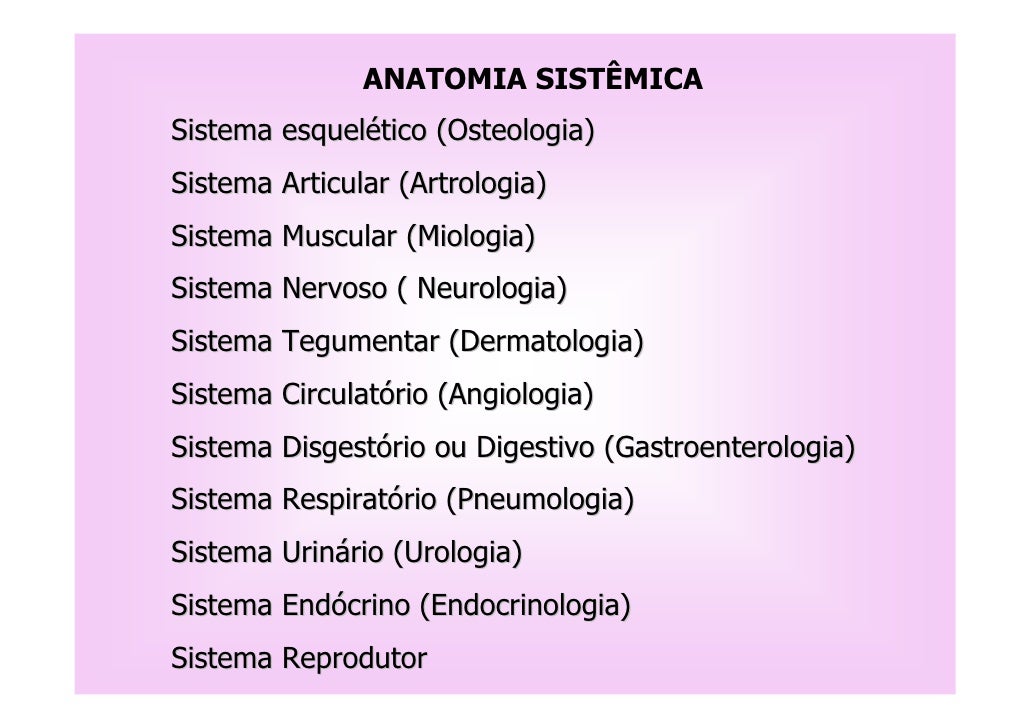 Trabalho de anatomia humana Trabalho de anatomia humana