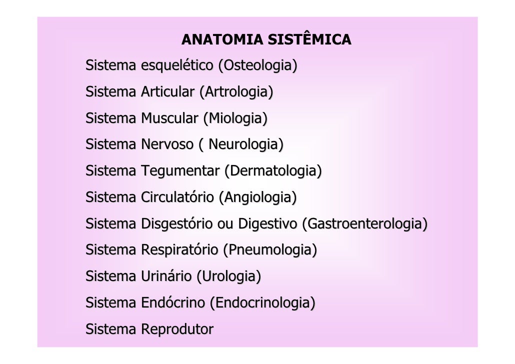 Trabalho de anatomia humana