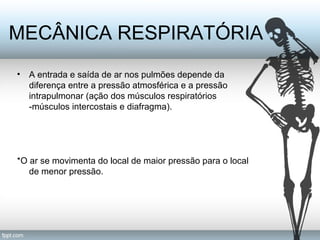 MECÂNICA RESPIRATÓRIA 
• A entrada e saída de ar nos pulmões depende da 
diferença entre a pressão atmosférica e a pressão 
intrapulmonar (ação dos músculos respiratórios 
-músculos intercostais e diafragma). 
*O ar se movimenta do local de maior pressão para o local 
de menor pressão. 
 