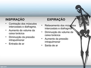 INSPIRAÇÃO 
• Contração dos músculos 
intercostais e diafragma. 
• Aumento do volume da 
caixa torácica 
• Diminuição da pressão 
intrapulmonar 
• Entrada de ar 
EXPIRAÇÃO 
• Relaxamento dos músculos 
intercostais e diafragma 
• Diminuição do volume da 
caixa torácica 
• Aumento da pressão 
intrapulmonar 
• Saída de ar 
 