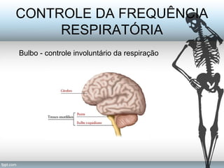 CONTROLE DA FREQUÊNCIA 
RESPIRATÓRIA 
Bulbo - controle involuntário da respiração 
 