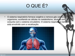 O QUE É? 
• O sistema respiratório fornece oxigênio e remove gás carbônico do 
organismo, auxiliando as células no metabolismo, atuando em 
conjunto com o sistema circulatório. O sistema respiratório também 
esta envolvido com a vocalização. 
 