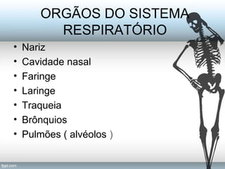 ORGÃOS DO SISTEMA 
RESPIRATÓRIO 
• Nariz 
• Cavidade nasal 
• Faringe 
• Laringe 
• Traqueia 
• Brônquios 
• Pulmões ( alvéolos ) 
 