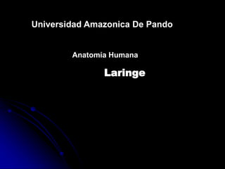 Laringe
Universidad Amazonica De Pando
Anatomía Humana
 