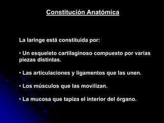 Constitución Anatómica
La laringe está constituida por:
• Un esqueleto cartilaginoso compuesto por varias
piezas distintas.
• Las articulaciones y ligamentos que las unen.
• Los músculos que las movilizan.
• La mucosa que tapiza el interior del órgano.
 