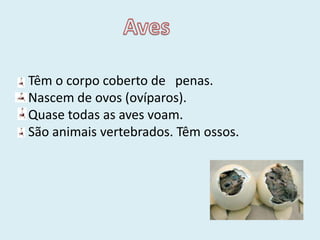 Anfíbios/Batráquios.Classificação dos animais