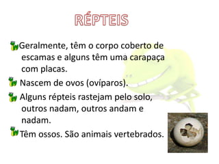 Exemplo de Mamíferos