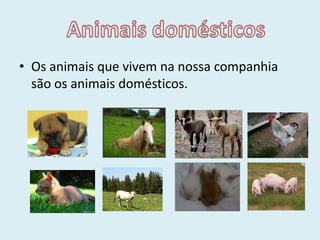 Os animais que vivem na nossa companhia são os animais domésticos.Animais domésticos