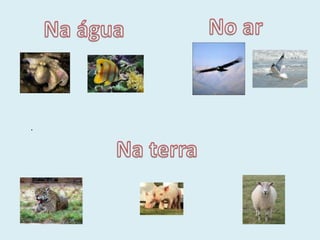No arNa água . Na terra