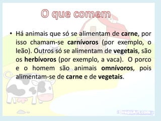 Há animais que só se alimentam de carne, por isso chamam-se carnívoros (por exemplo, o leão). Outros só se alimentam de vegetais, são os herbívoros (por exemplo, a vaca).  O porco e o homem são animais omnívoros, pois alimentam-se de carne e de vegetais.   O que comem