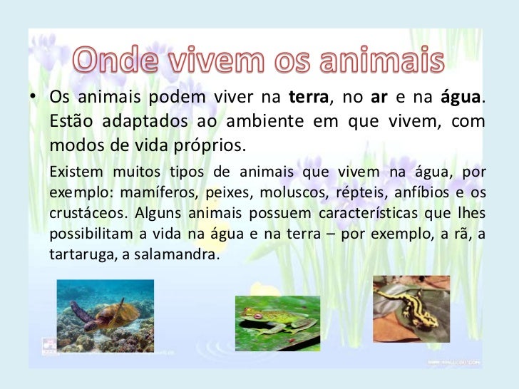 Em Que Ambiente Vivem Os Animais Que Excretam Amônia