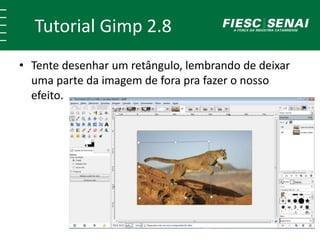 Tutorial Gimp 2.8 
• Tente desenhar um retângulo, lembrando de deixar 
uma parte da imagem de fora pra fazer o nosso 
efeito. 
 