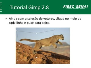Tutorial Gimp 2.8 
• Ainda com a seleção de vetores, clique no meio de 
cada linha e puxe para baixo. 
 