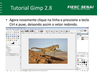 Tutorial Gimp 2.8 
• Agora novamente clique na linha e pressione a tecla 
Ctrl e puxe, deixando assim o vetor redondo. 
 