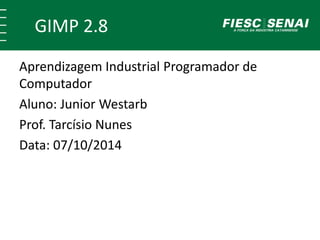 GIMP 2.8 
Aprendizagem Industrial Programador de 
Computador 
Aluno: Junior Westarb 
Prof. Tarcísio Nunes 
Data: 07/10/2014 
 